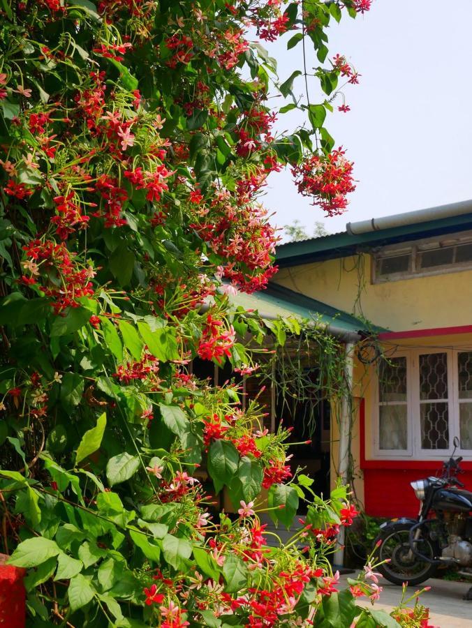 Gibbon Backpackers Hostel Guwahati Ngoại thất bức ảnh